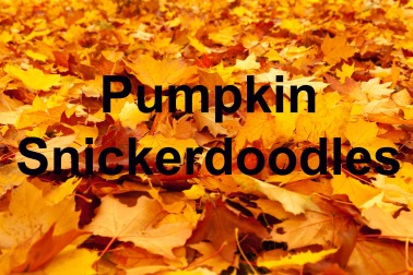 Pumpkin Snickerdoodles back drop.jpg